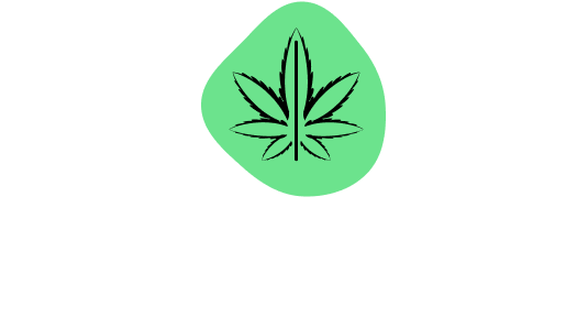 Chronicle logo lockup