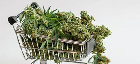 Buying Marijuana: Everything You Need to Know