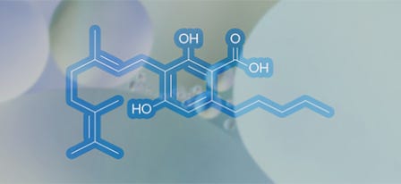 What is Cannabigerolic Acid (CBGA)?