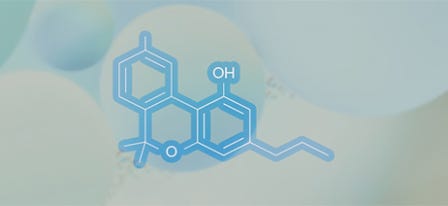 What is CBN (Cannabinol)?