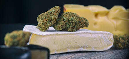 Cannabis & Cheese: From Creamy Strains to Unique Pairings