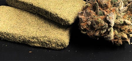 Kief vs. Hash: What’s The Difference? 