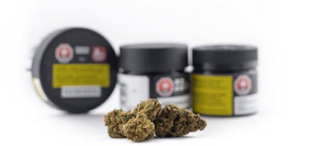 TAC vs THC: What’s the Difference?