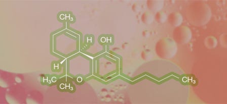 What is THC & What Does It Do?