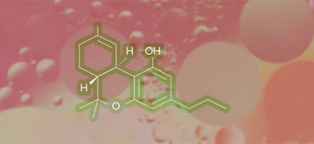 What is THCV & How Is It Different From THC?