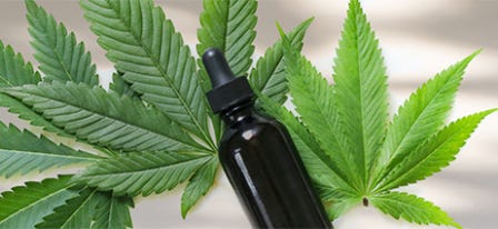 What Are Cannabis Tinctures?